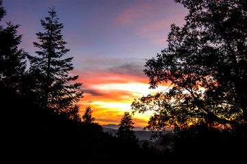 Sunset in all its glory overlooking the Hemet valley below Idyllwild California and the landscape with forest tree's silhouetted. 