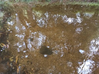 water flowing into the river