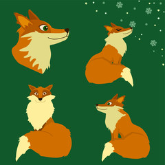 very cute Fox set illustration, winter version 