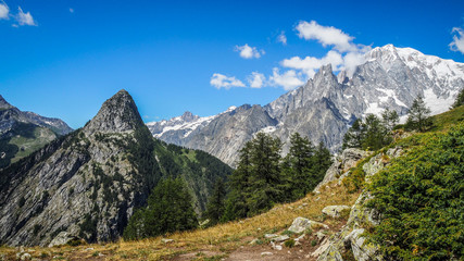 Fototapeta na wymiar Tour du Mont Blanc, hiking in the Alps