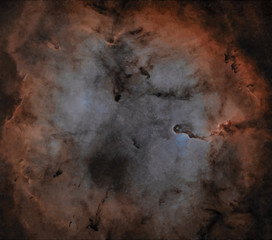 Nebulosa Proboscide d'elefante IC 1396 Star Less