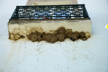 Low angle shot of swallow nest at the manor house
