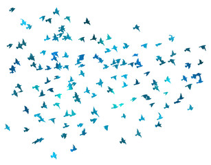 Bird watercolor. A flock of colorful birds. Mixed media. Vector illustration