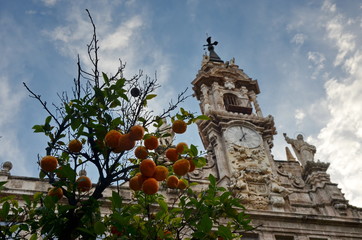 Fruit tree and old building