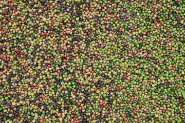 coffee beans of green, yellow, red and blue colours lying on the ground