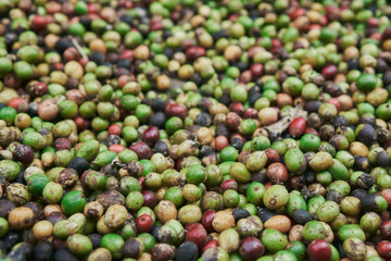 coffee beans of green, yellow, red and blue colours lying on the ground