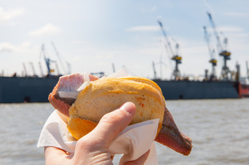 Matjes Fischbrötchen in hand in front of harbor cranes at the port of Hamburg at the...