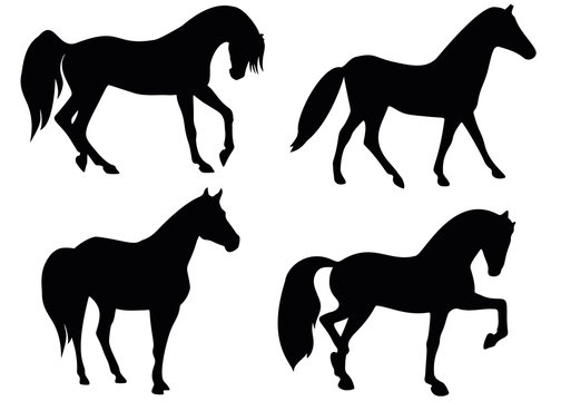 Horses in the set. Vector image.