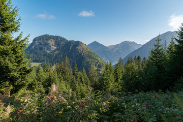 Fototapeta na wymiar Bavarian Landscape in the summer with mountain and trees. 