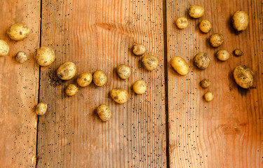 Kartoffeln junge Kartoffel neue frisch welle Hintergrund Brett