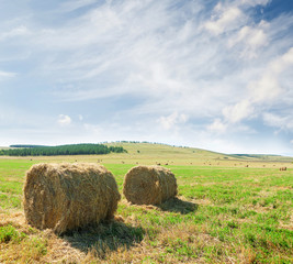 Hay bales harvesting