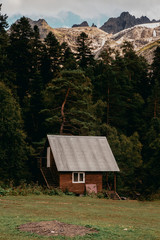 Деревянный дом в лесу на фоне гор. Спокойствие и уют