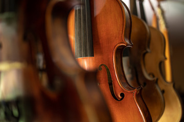 Close up view of violins music instrument.