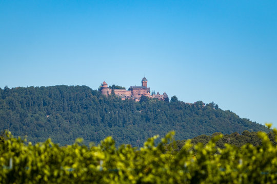 Chateau Haut-konigsbourg in the alsace france 