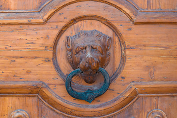 close up of a door knocker in the shape of a lion's head on a wooden door