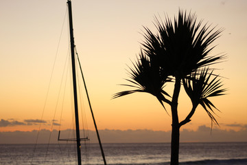 beautiful sunset on the beach with palmtree and catamaran silhouette 