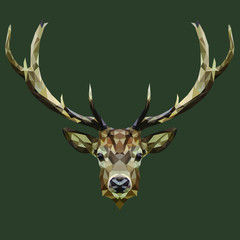 Polygonal deer head. Deer.  Low poly animal. Geometric deer