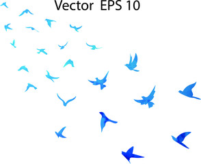 Watercolor flock of flying birds. Transparent background.

