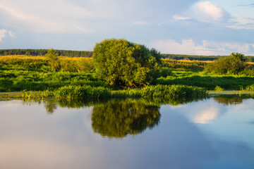 Pastoral landscape-Klyazma river Bank with green trees and grass against a blue cloudy sky with reflections in the water and space for copying