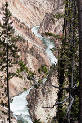 Grand Canyon of the Yellowstone