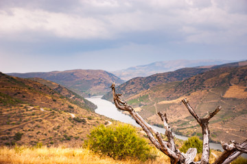 Douro