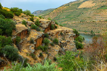 Douro