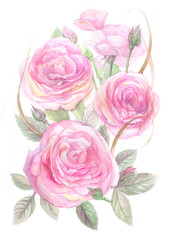 Fototapeta na wymiar watercolor delicate bouquet of pink roses with a bird on a white background for a picture in the interior or a postcard