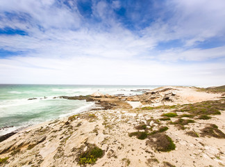 Fototapeta na wymiar Blue cloudy sky and yellow sand on the coast in De Hoop Nature Reserve in South Africa