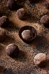 Fototapeta na wymiar Truffles - chocolate french sweets (candies) covered with cocoa. Closeup view