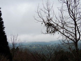 Obraz na płótnie Canvas A foggy morning in the mountains
