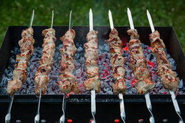 Pork shish kebab on skewers grilled on charcoal on the grill.