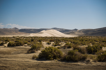 Fototapeta na wymiar isolated sand dunes