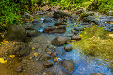 A view downriver from the Gendarme in the rain forest of Martinique