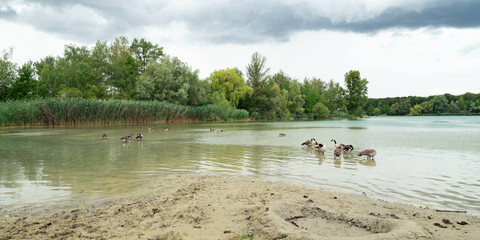 Baggersee Eggenstein