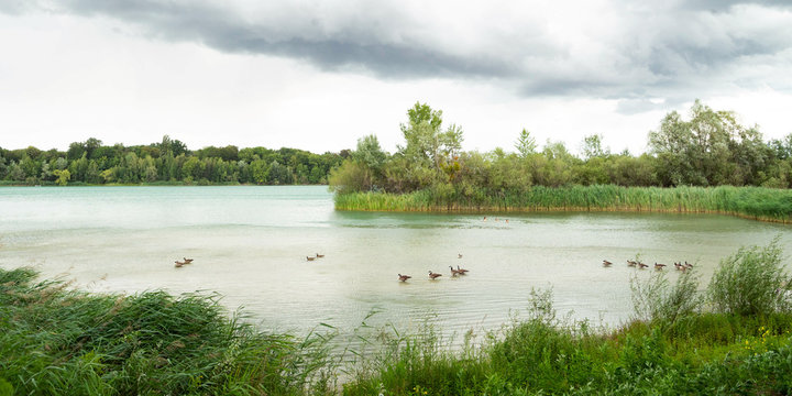 Baggersee Eggenstein