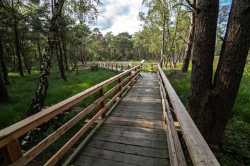 Wooden Walkway at the Otternhagener Peat or Turf Area, Germany