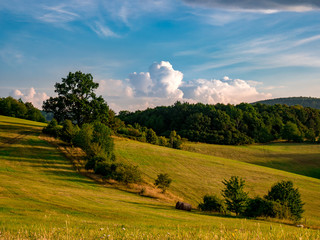 Fototapeta na wymiar Beautifully lit landscape by the morning sun with a rolling meadow, forests and massive clouds in the sky