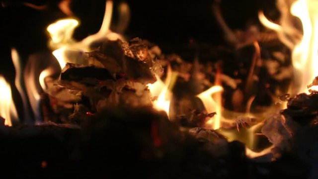 Footage of flames in a fire place burning wood and paper. 