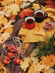 Autumn picnic. Two mugs with tea stand on a wooden outside on cloth napkins. Nearby are red apples in a string bag and red berries in a glass jar. Yellow maple leaves all around. Camping. Autumn mood
