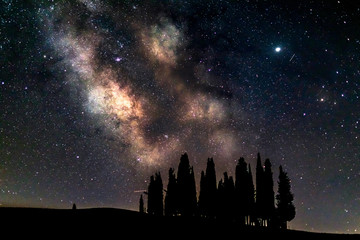Fototapeta na wymiar panorama del cielo notturno sopra i cipressi di san quirico d'orcia , con la via lattea visibile sopra i cipressi