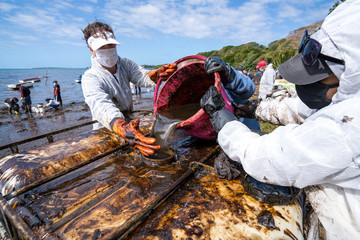 Fototapeta na wymiar Volunteers clean the ocean coast from oil after a tanker wreck. Mauritius