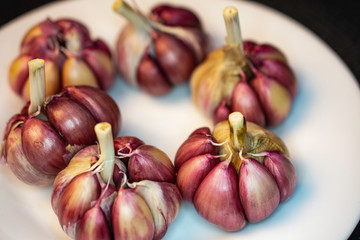 Raw purple garlic in close up on a white plate on a black table.