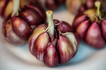 Raw purple garlic in close up on a white plate on a black table.