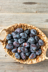 Ripe plum. Lots of plums in a basket on a gray wooden table. Blue plums close-up. The view from the top. Healthy fruits