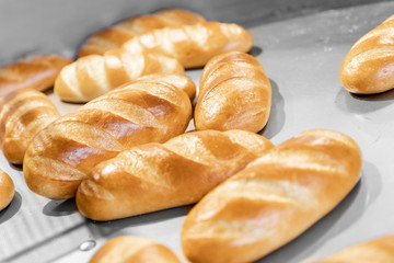 Baked breads on automatic production line bakery from hot oven