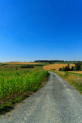 Fototapeta na wymiar country road in the rural landscape
