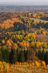 A top view of colourful forest trees in the autumn season. Perm, Russia