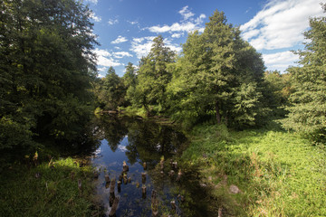 Fototapeta na wymiar Reflections of trees in a forest river. Natural landscape. High quality photo