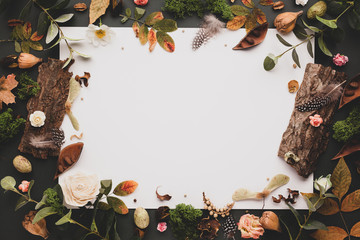 Autumnal-winter concept with dried flowers and leaves, branches of eucalyptus, bark of trees and ...