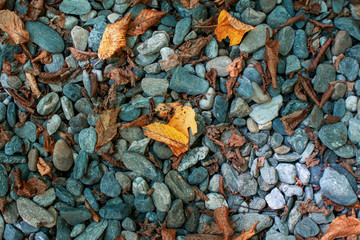 Small stone road background, dark gravel pebbles stone texture with golden and yellow leaves in autumn.